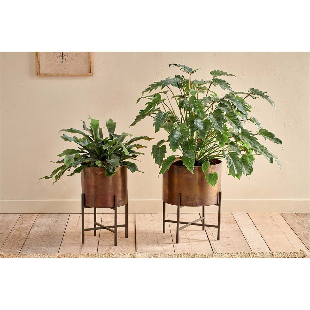 Juoni Large Iron Planter - Aged Antique Brass