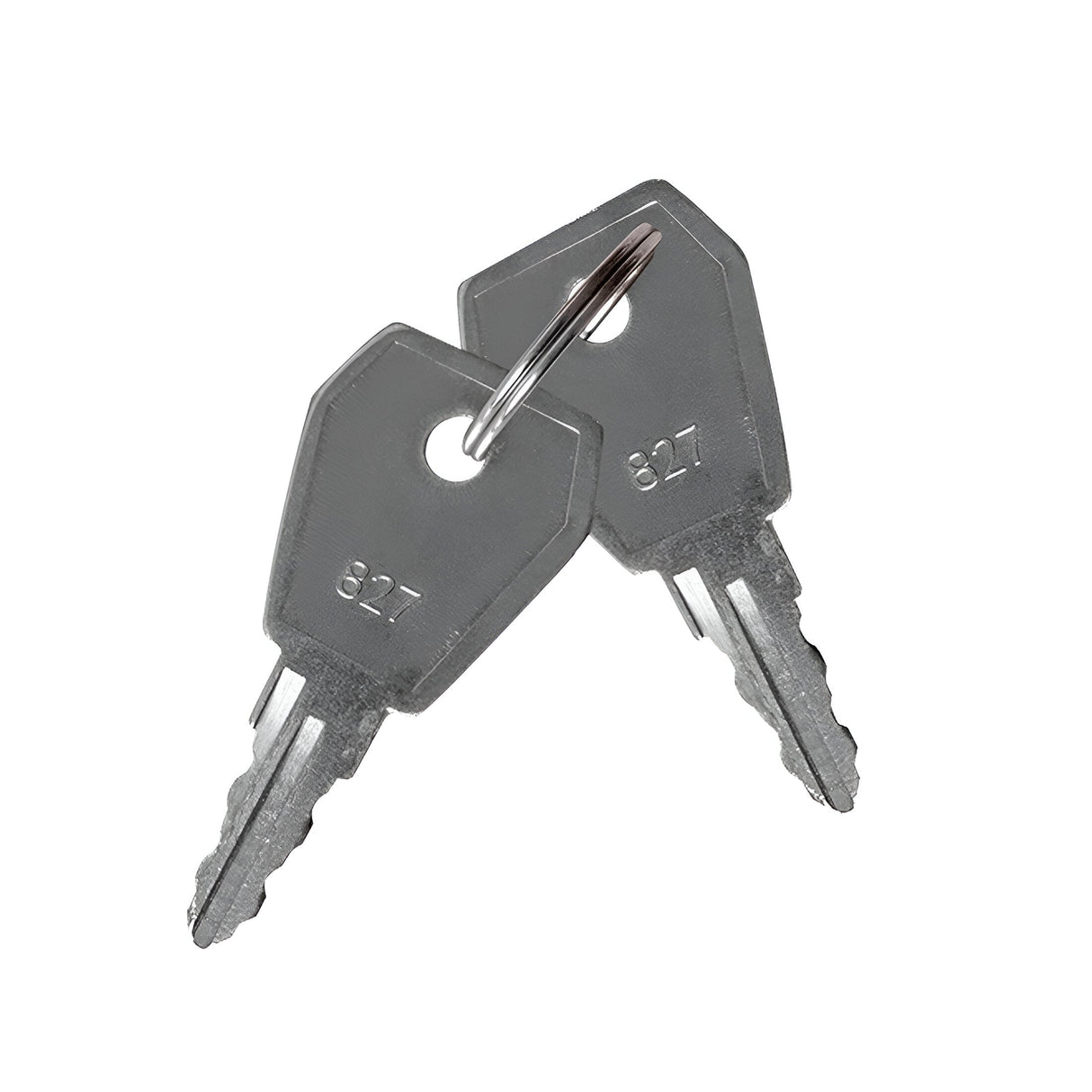 2PK Spare Keys For Fire Isolator Switch