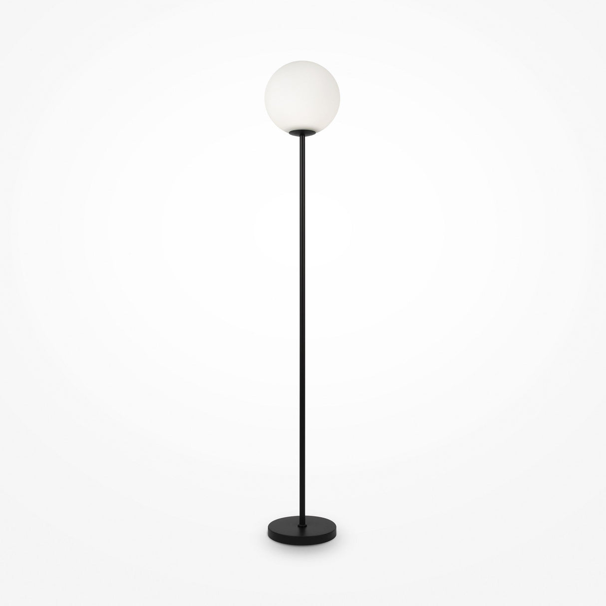 The Ring Floor Lamp - Black has a minimalist design with a slender black stand, topped by a frosted glass globe, all poised on a circular base against a plain white background.