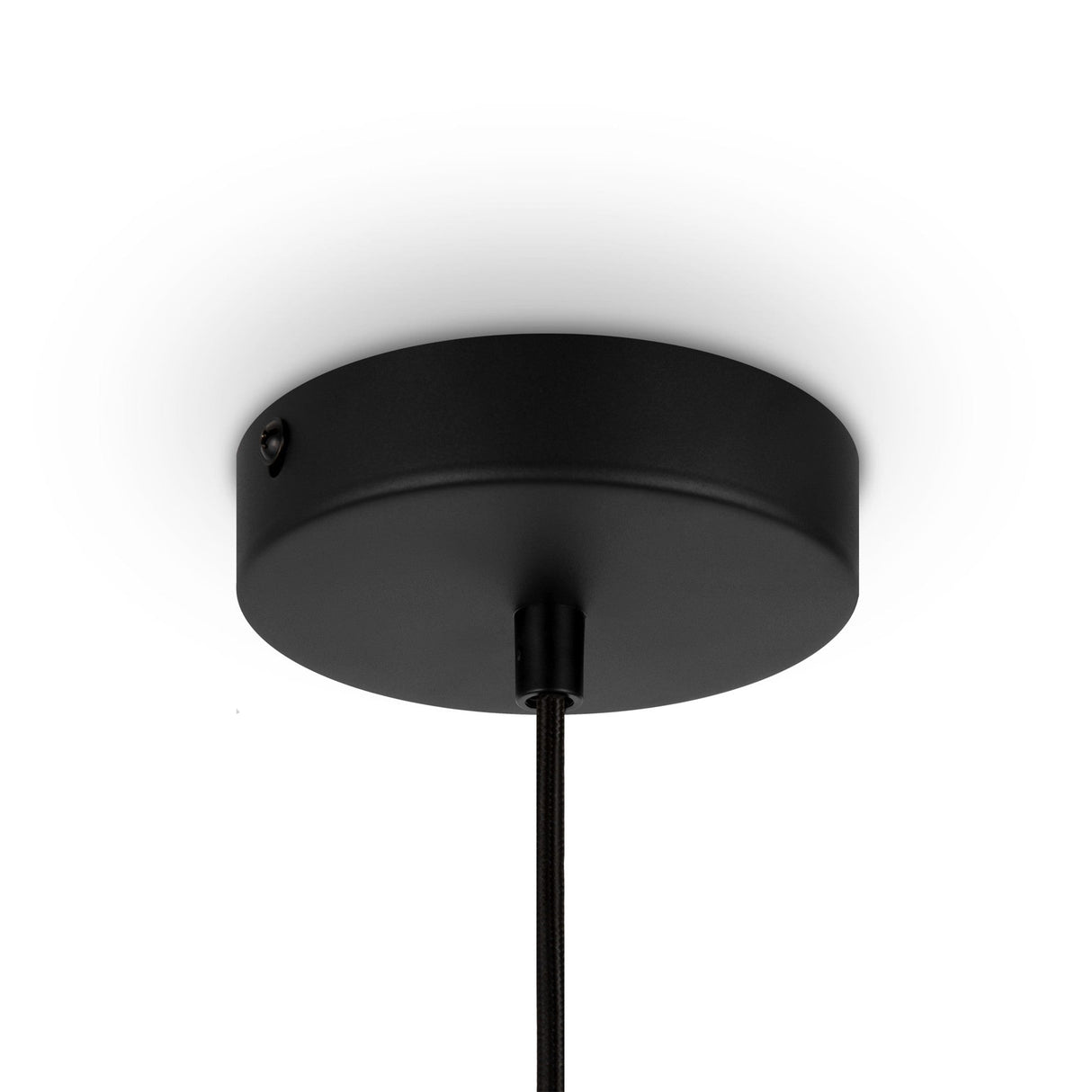 The 25cm Roots Pendant Light in black, featuring a beige wooden oval shade, adds a touch of modernity. Its minimalist design enhances the plain white ceiling with its sleek presence.