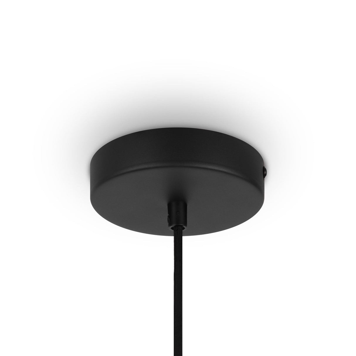 The Roots Pendant Light 35cm features a black ceiling canopy and a cord against a white backdrop. Its circular canopy complements the beige wooden globe dome shade, with the cord elegantly hanging from its center, part of the Modern Nature collection.