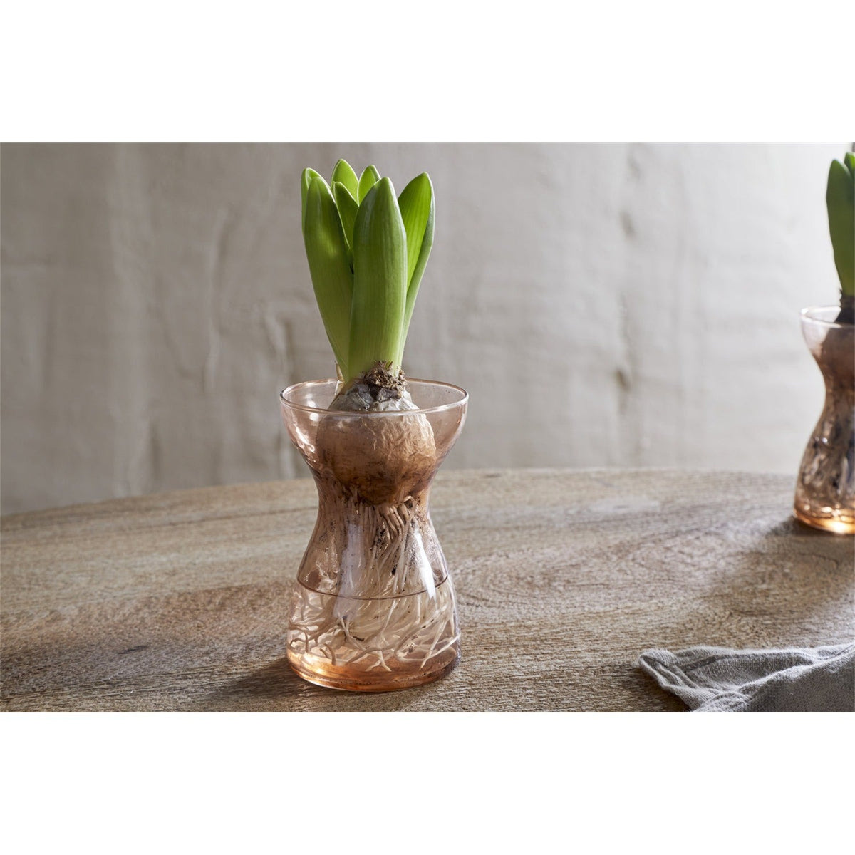Enir Hammered Hyacinth Glass Vase - Dusty Terracotta