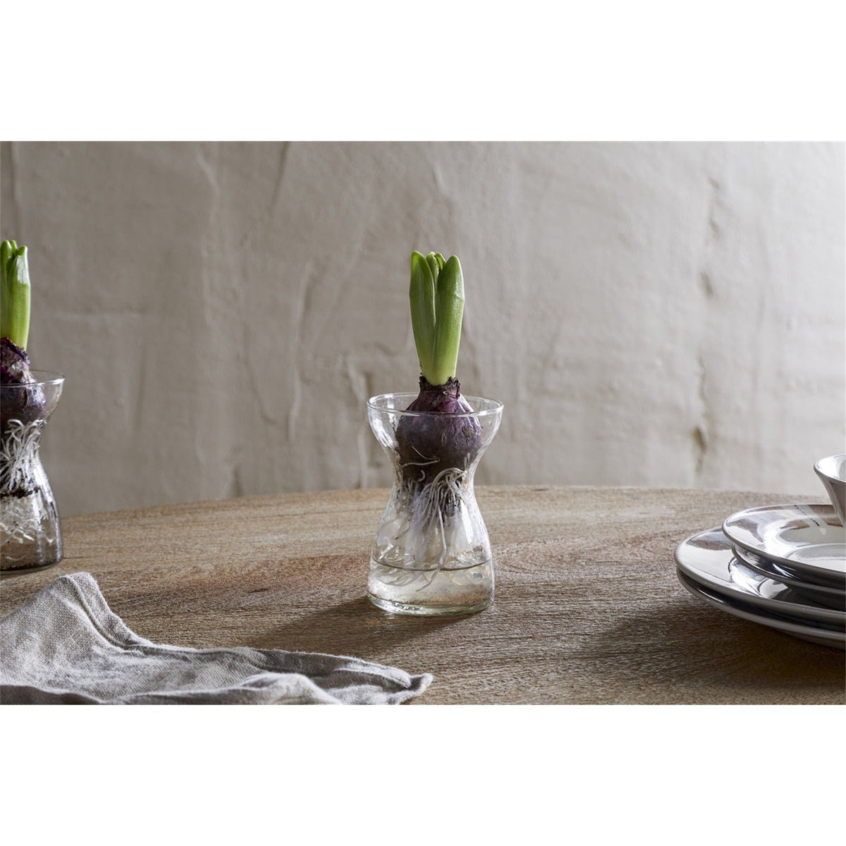 Enir Hammered Recycled Glass Hyacinth Vase - Clear