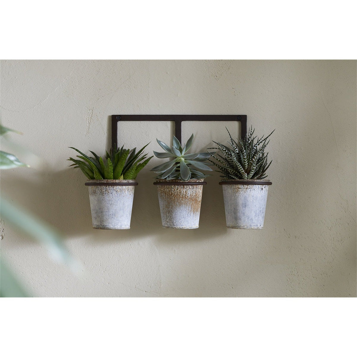 Tukana Triple Wall Hanging Planter - Zinc