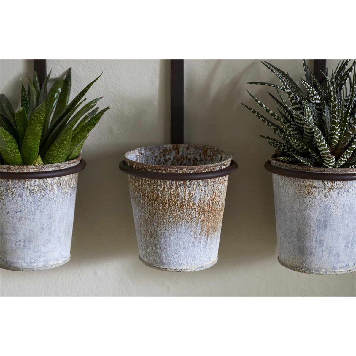 Tukana Triple Wall Hanging Planter - Zinc