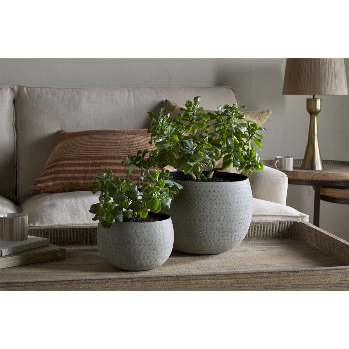 Laoko Small Aluminium Planter - Olive Grey