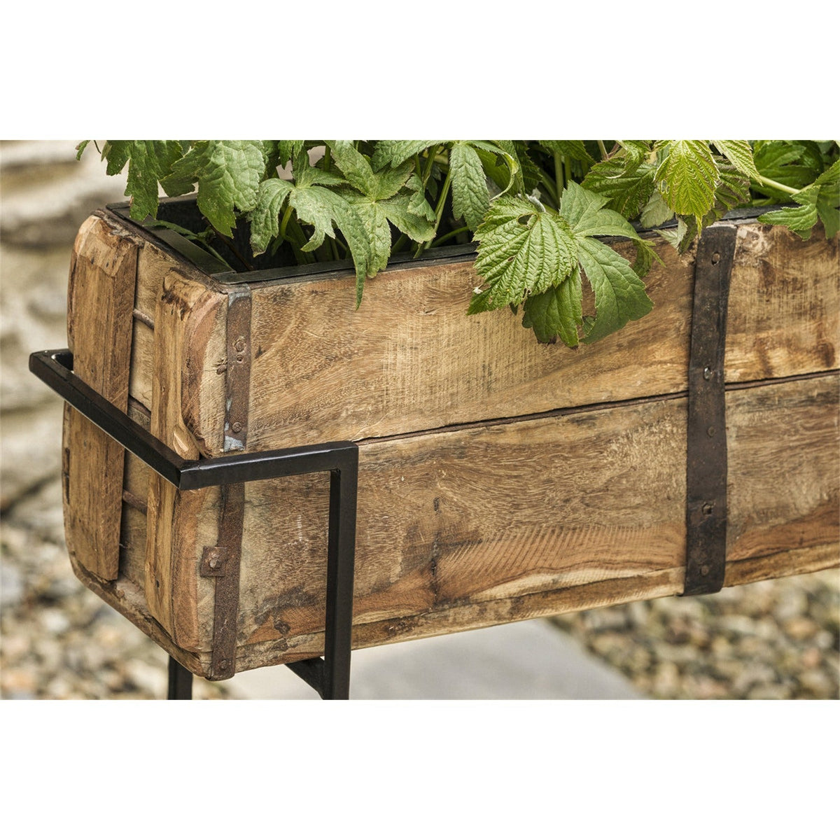 Amazzi Small Reclaimed Wood Plant Stand - Natural & Black