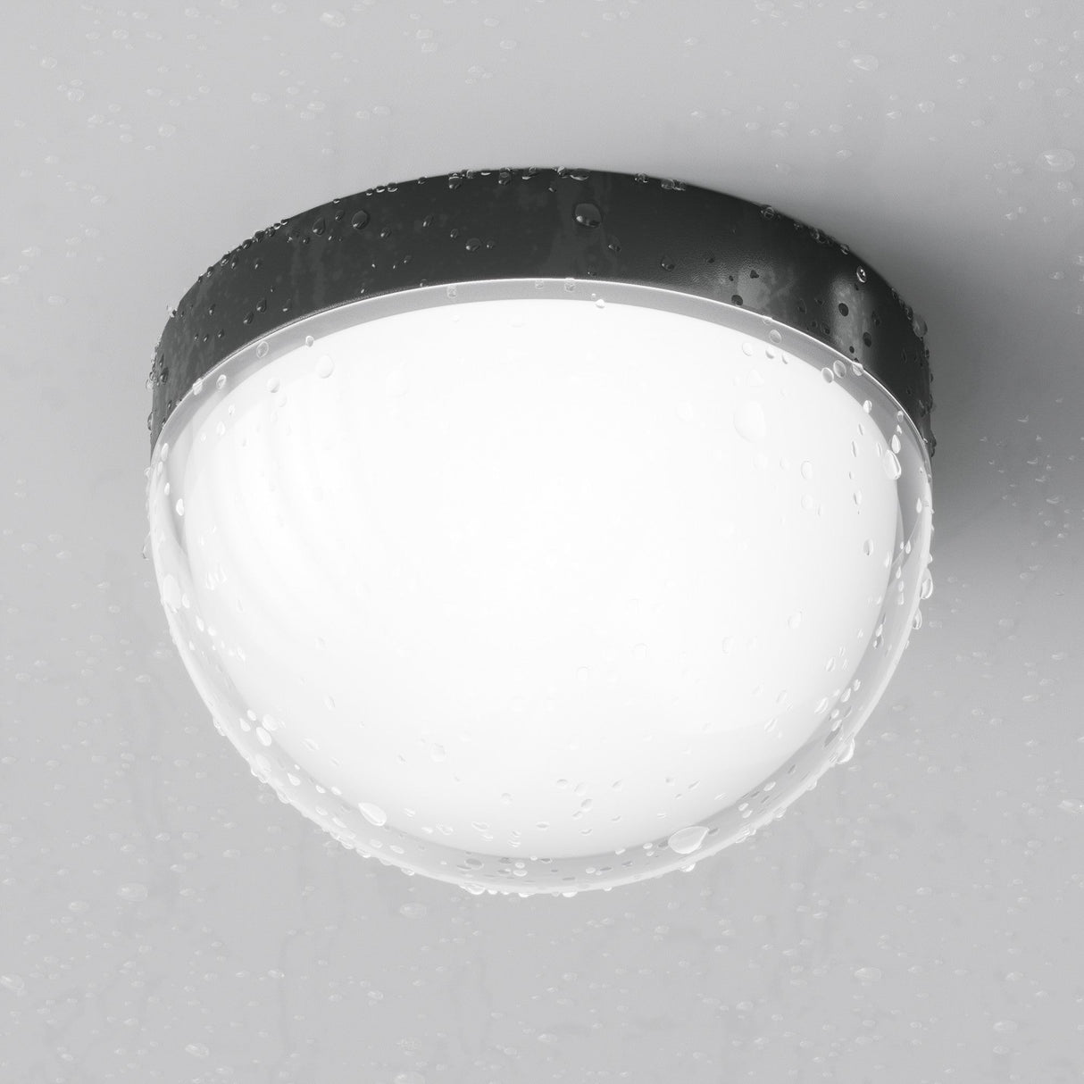 A Mon Outdoor LED Ceiling Light 3000K in graphite finish, featuring a black rim and smooth translucent dome over the LED light source, glows brightly against a light gray background with water droplets on its surface.
