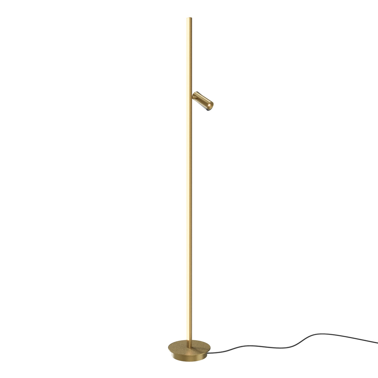 Maytoni Thin Ring LED floor lamp in brass, featuring a slim vertical stem with adjustable cylindrical reading head and circular base, on white.