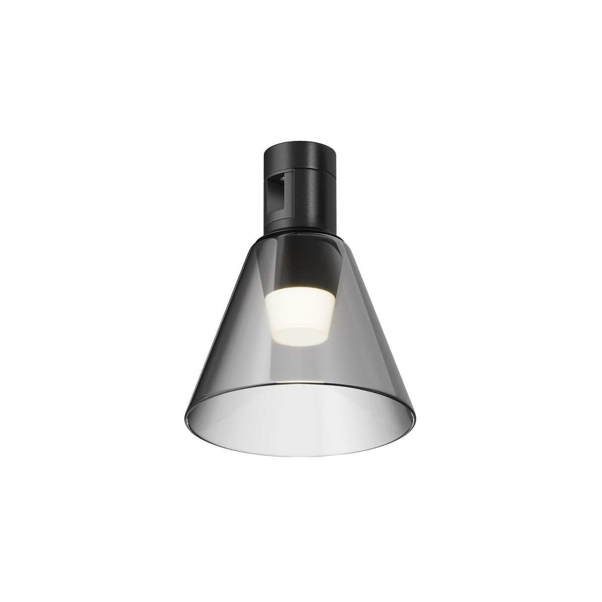 Maytoni Bianca LED track light with a black aluminium conical shade, clear glass diffuser, and integrated 3W 3000K warm white LED, on a white background.