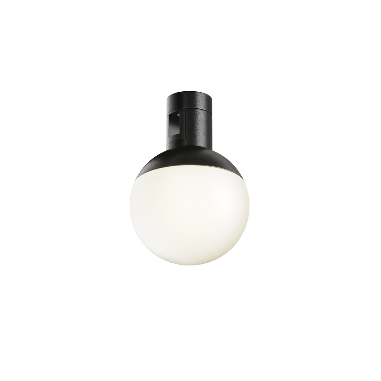 Maytoni Luna LED track light with spherical opal glass diffuser on a black aluminium cylindrical housing, 5W 3000K, shown on a white background.