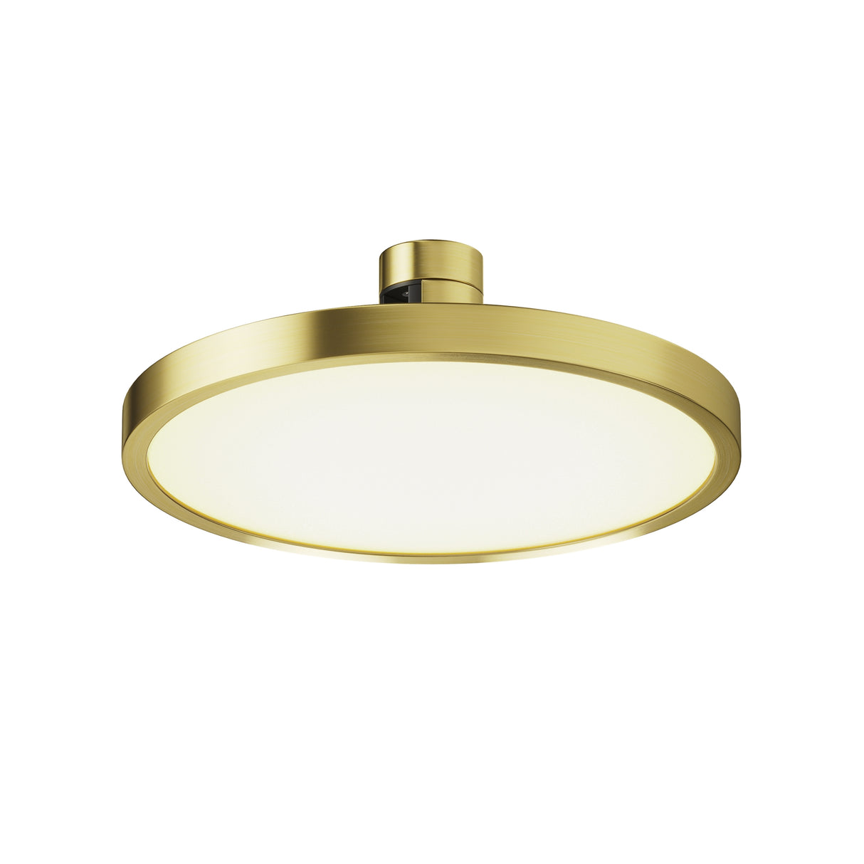 Maytoni Plato LED track light with a circular brass-finished aluminium housing, flush diffuser and twist-lock adaptor, shown on a white background.