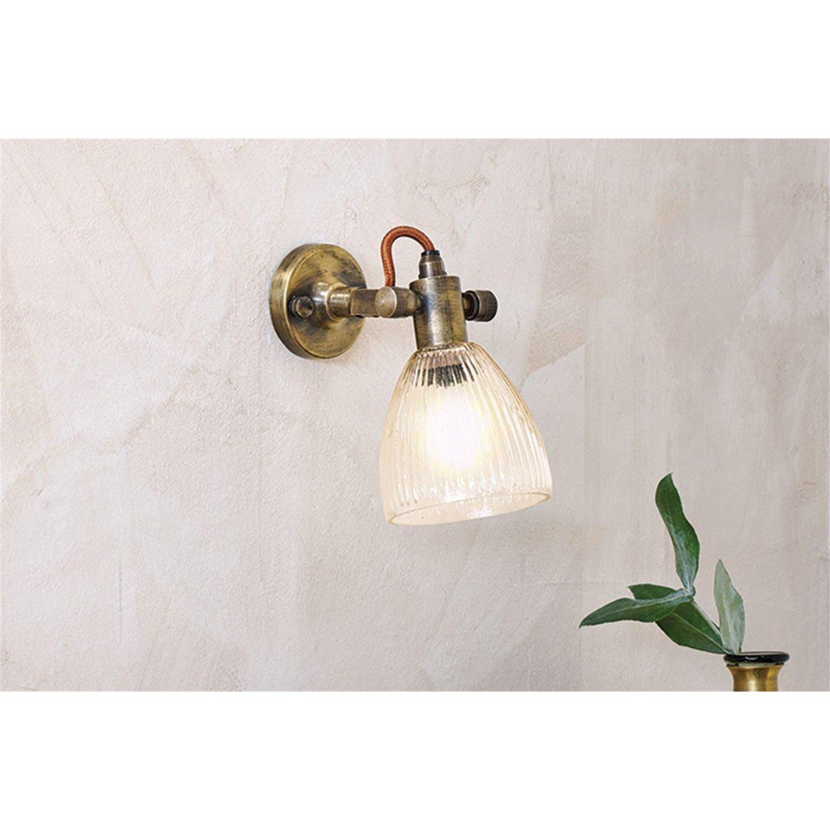 Rarni single wall light in antique brass with a ribbed clear glass tulip shade, rust-coloured flex, lit against a light plastered wall beside a leafy plant.