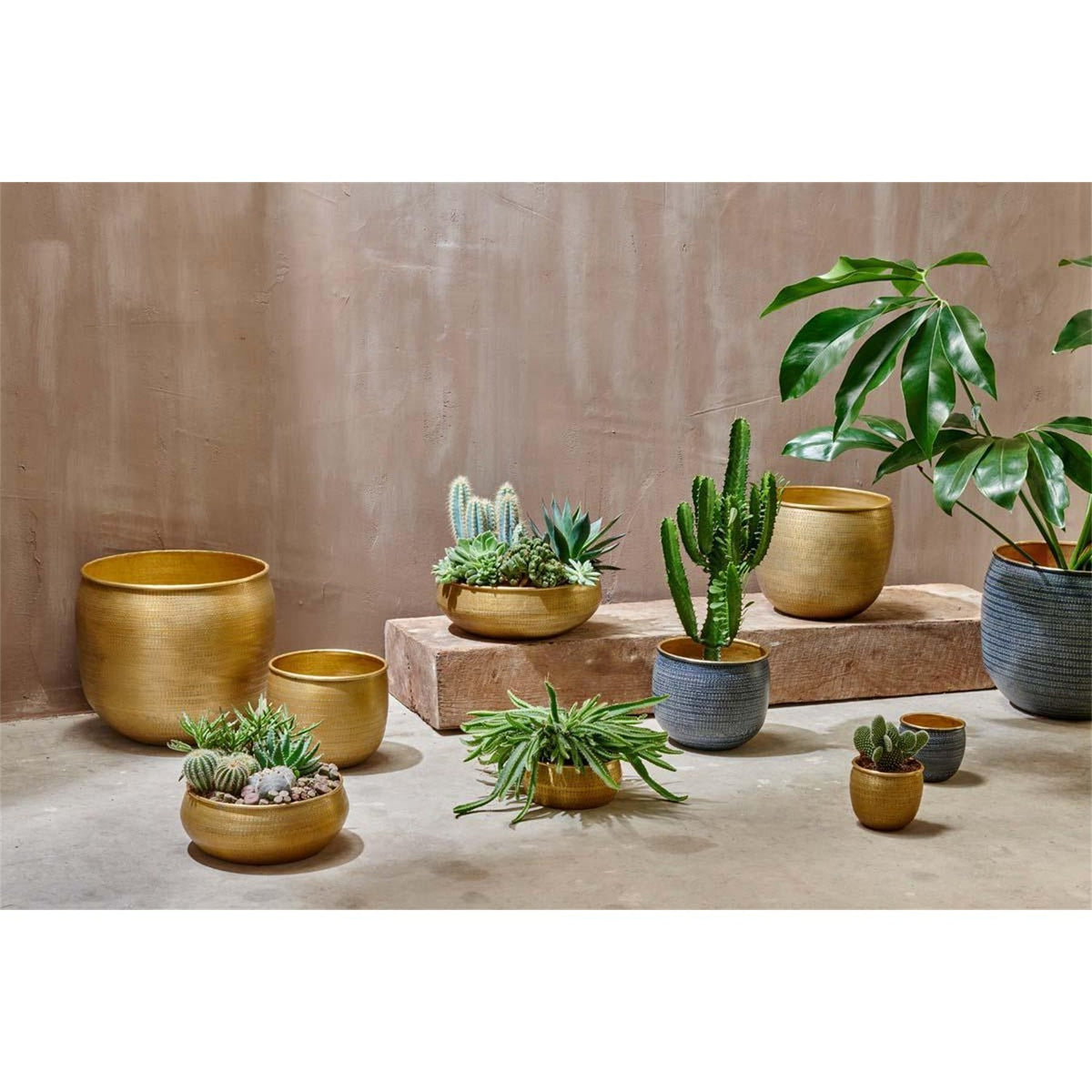Tembesi Large Etched Planter - Antique Brass