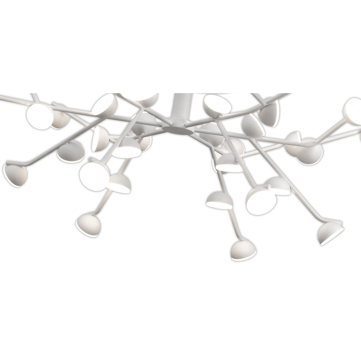 Mantra Adn 36-light semi-flush ceiling light in white, with branching metal arms and conical LED diffusers in a starburst layout, on white.