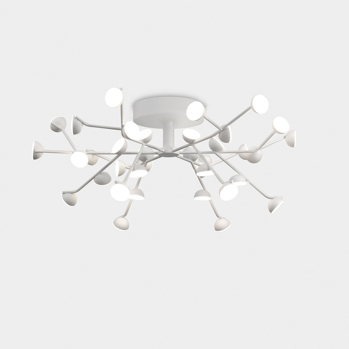 Mantra Adn 36-light semi-flush ceiling light in white, with branching metal arms and conical LED diffusers in a starburst pattern on a light background.