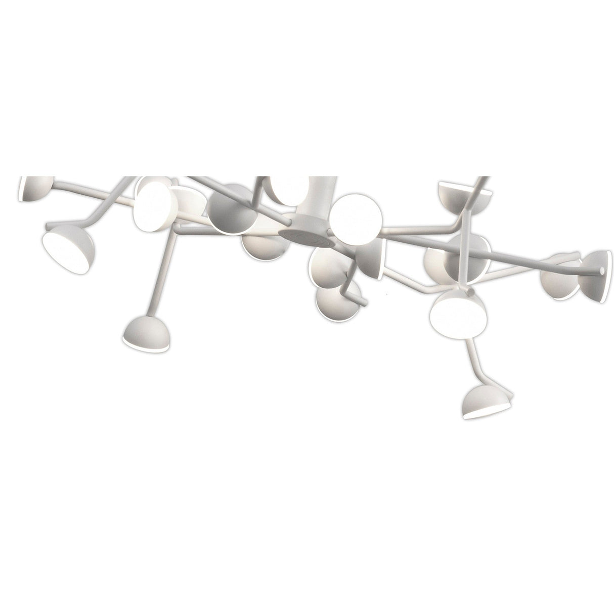 Mantra Adn 24 light semi-flush ceiling light in white, with integrated LED heads on radiating arms forming a sculptural branching structure.