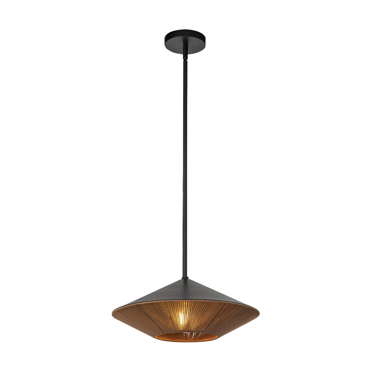 Daphne 1 Light Large Pendant - Black/Brass