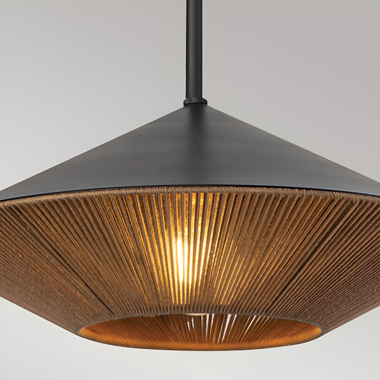 Daphne 1 Light Large Pendant - Black/Brass