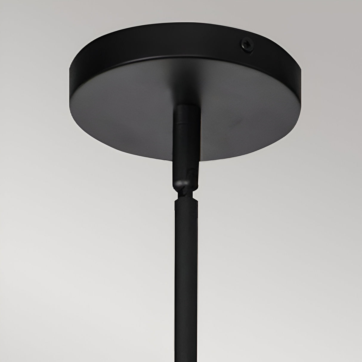 Daphne 1 Light Large Pendant - Black/Brass