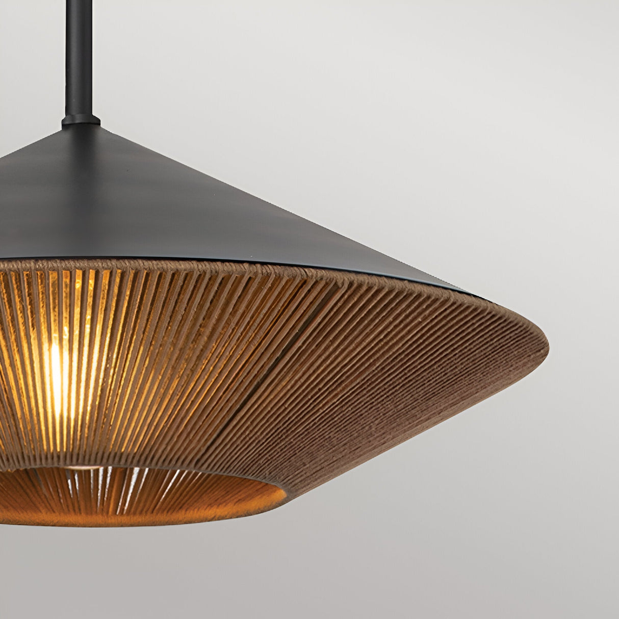 Daphne 1 Light Large Pendant - Black/Brass