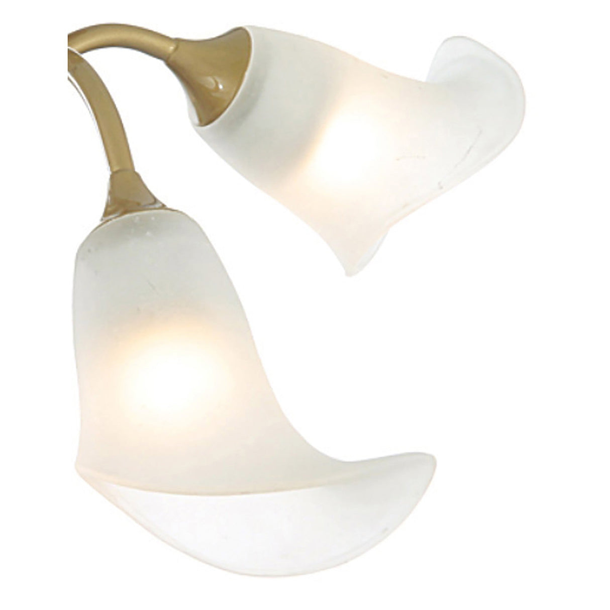 Ancona 4 Light Frosted Glass Semi-Flush Ceiling Light - Satin Gold