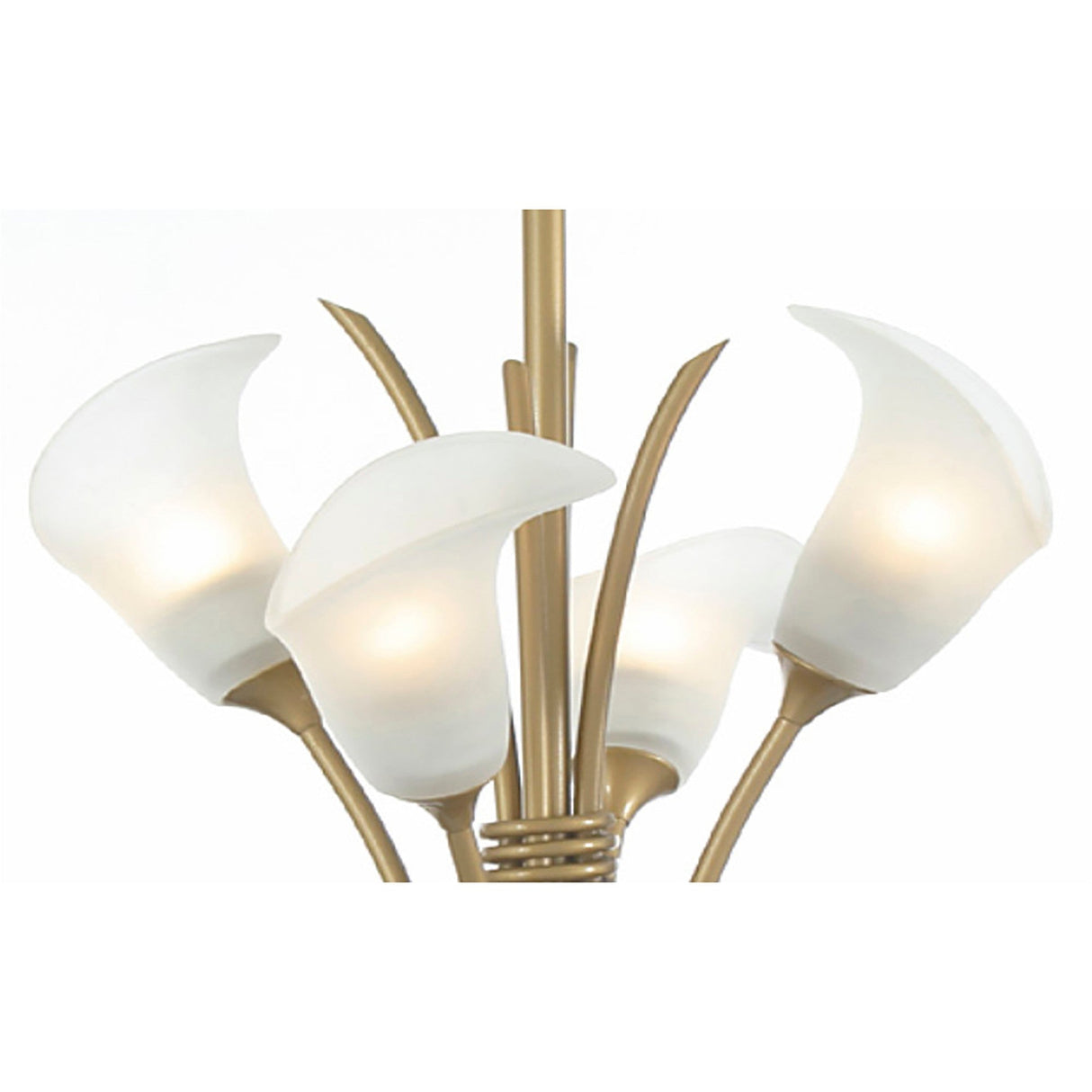 Ancona 61cm 8 Light Frosted Glass Chandelier - French Gold