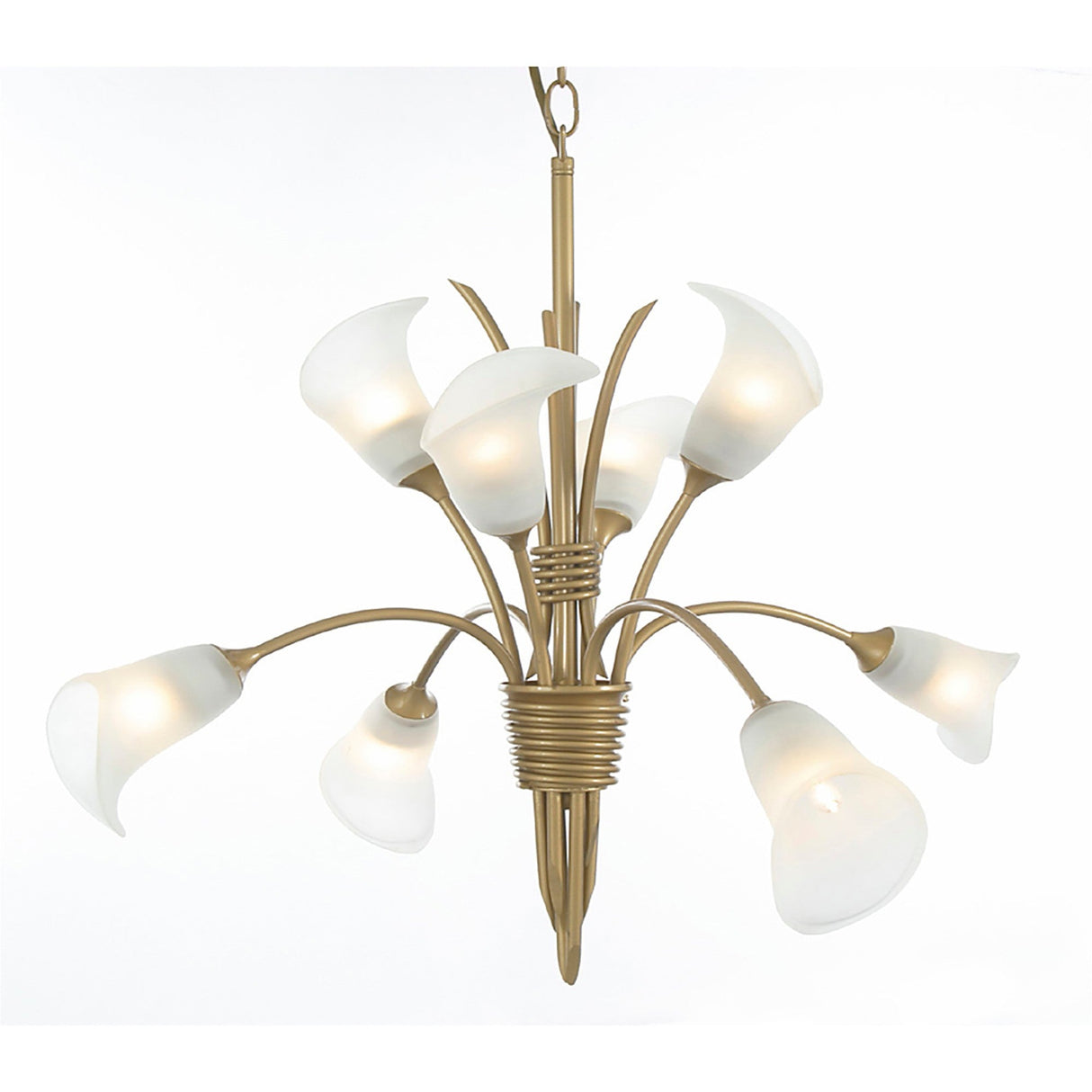 Ancona 61cm 8 Light Frosted Glass Chandelier - French Gold