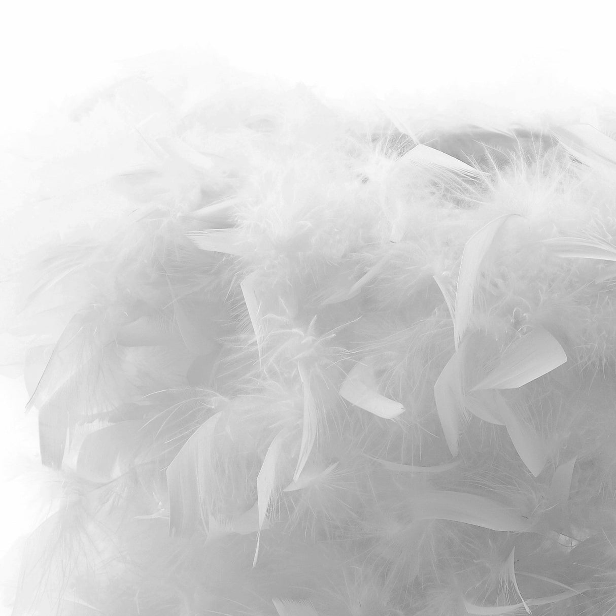 Arqus Feather Lampshade - White, 25 x 18cm