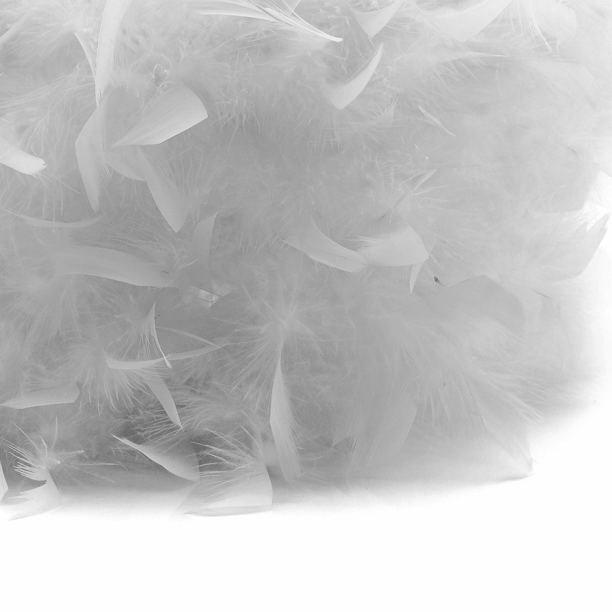 Arqus Feather Lampshade - White, 25 x 18cm