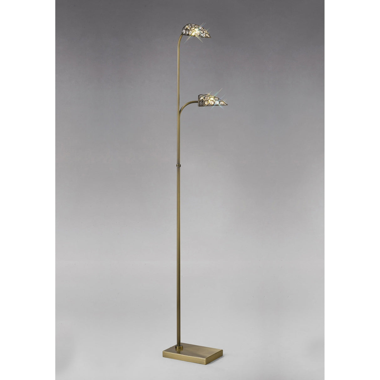 The Ashton 2 Light Crystal Floor Lamp in Antique Brass features a rectangular base and two curved arms with decorative crystal ring shades, perfect for adding elegant ambient lighting to any space.