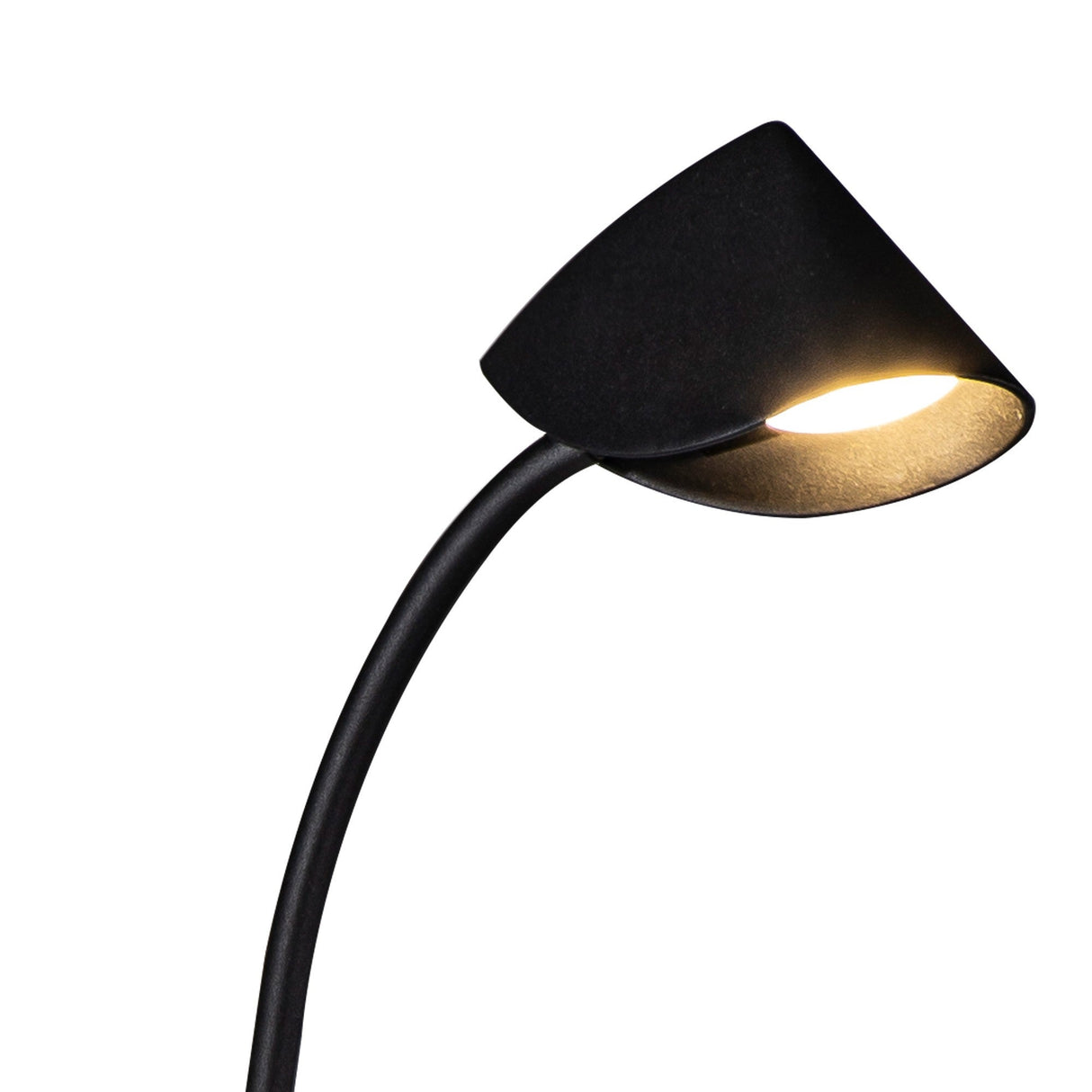 The Capuccina LED Floor Lamp 8.5W 3000K in black features a curved neck and conical shade, illuminating ambient light against a white background.