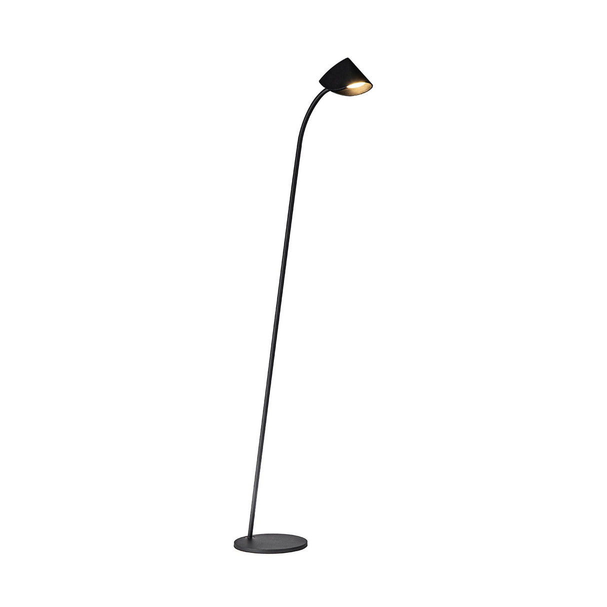 The Capuccina LED Floor Lamp 8.5W 3000K in black features a slim, angled pole with a small tilted lampshade on a round base, providing modern ambient lighting against a white background.