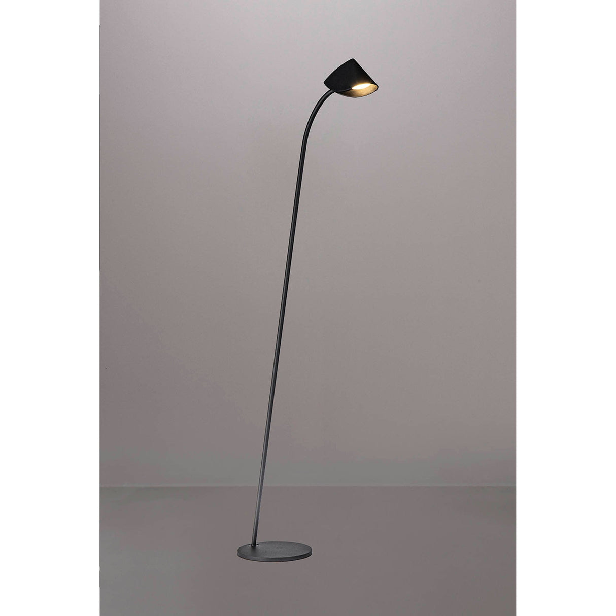 The Capuccina LED Floor Lamp 8.5W 3000K in Black features a slender, curved pole and angled shade on a round base. Set against a gray background, the lamp casts warm ambient downward light and is shown switched on.