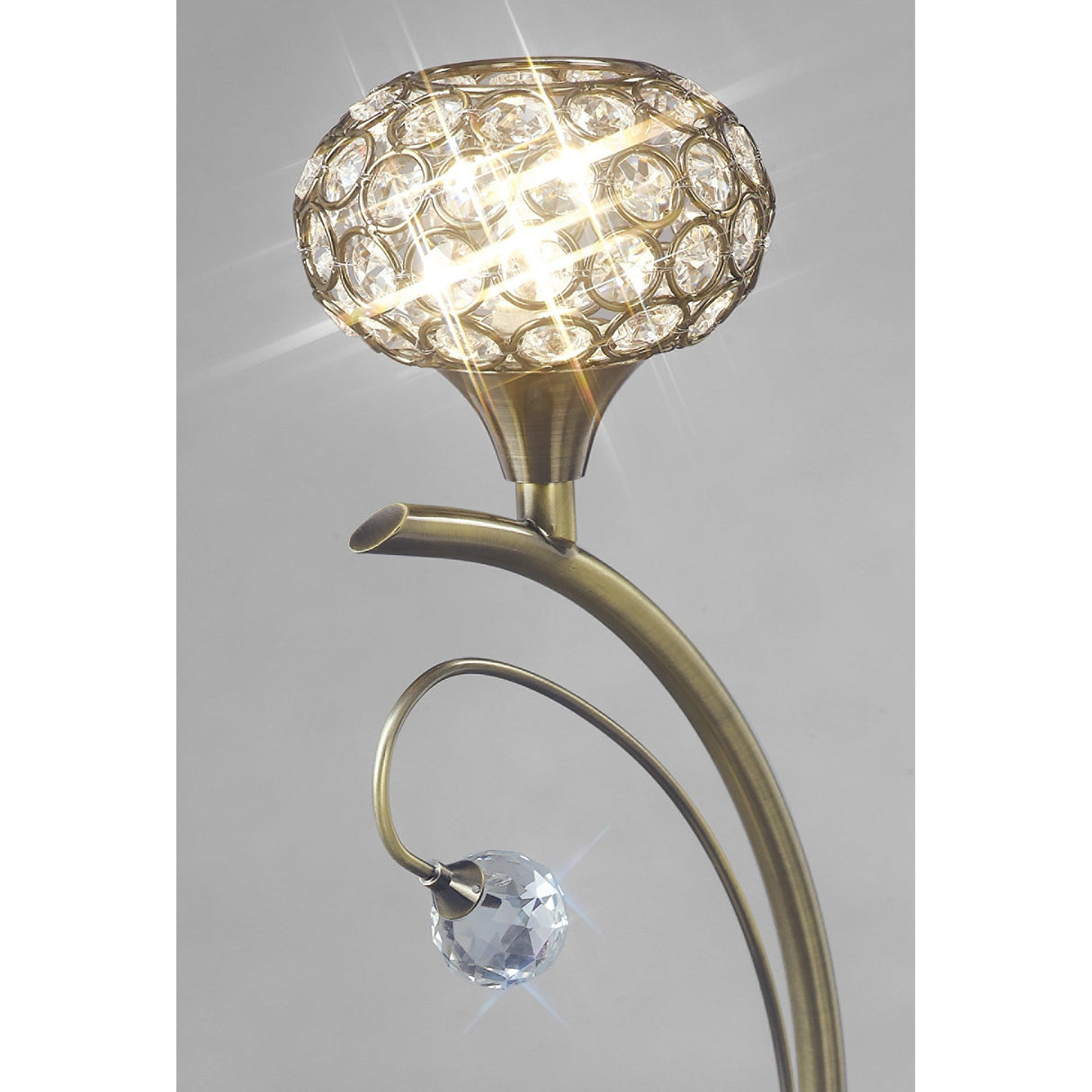 Cara 1 Light Crystal Table Lamp - Antique Brass