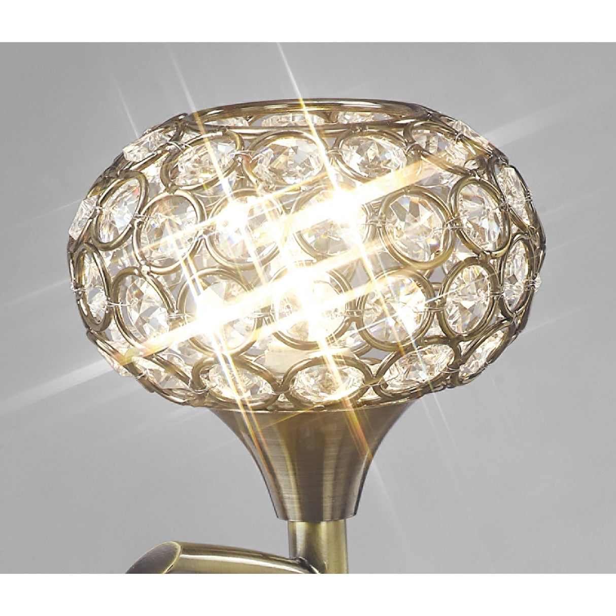 Cara 1 Light Crystal Table Lamp - Antique Brass