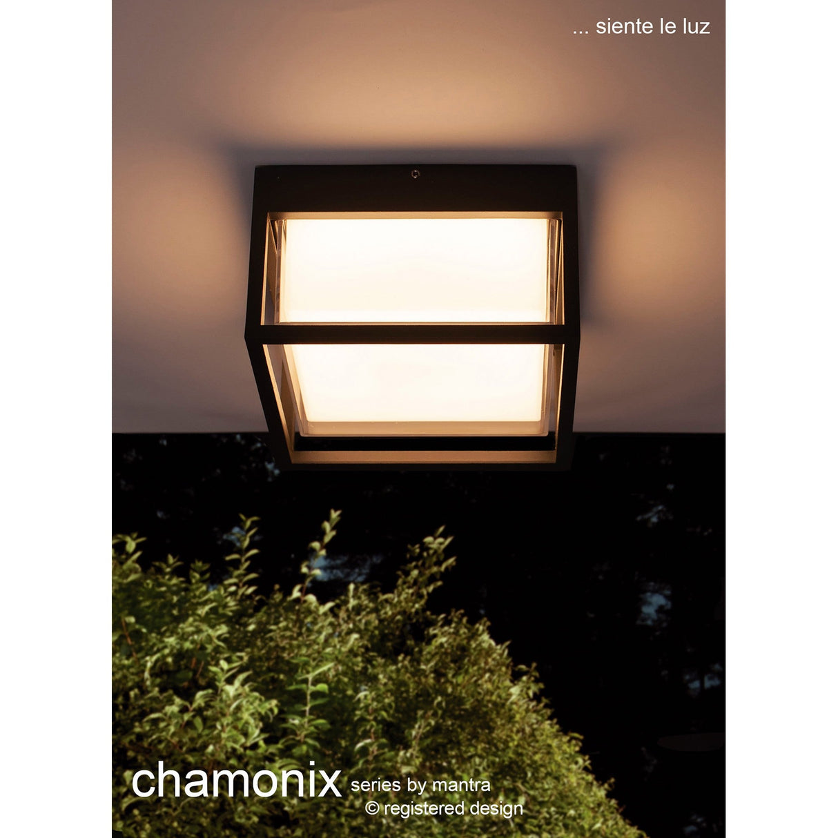 Chamonix Square Outdoor LED Celing/Wall Light - Anthracite