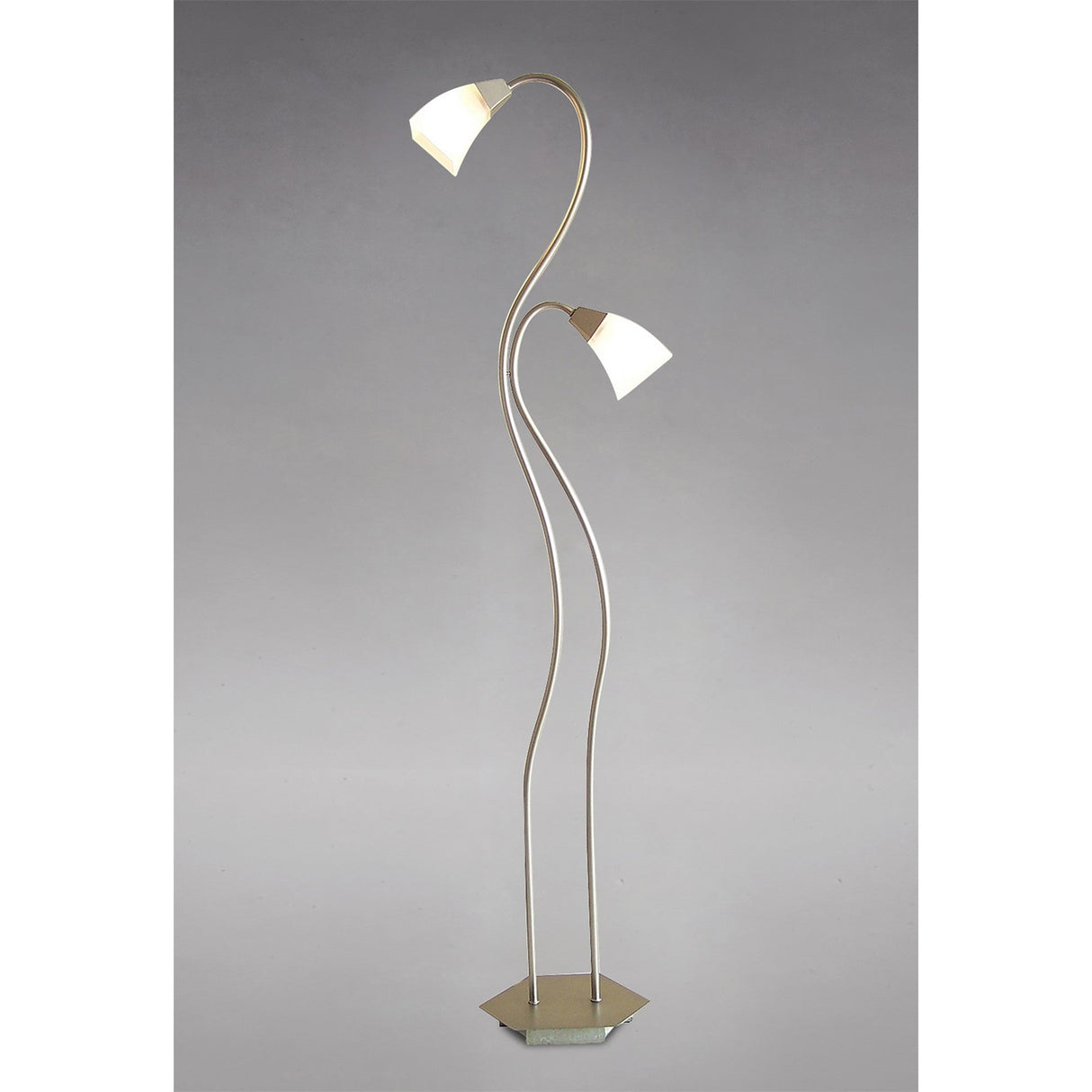 The Chievo 2 Light Frosted Glass Floor Lamp in satin chrome features two curved stems with frosted glass shades and stands on a hexagonal base, shown against a plain gray background.