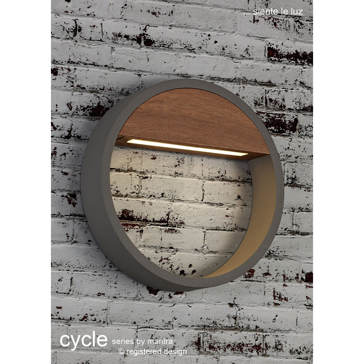 Cycle Small Outdoor LED Wall Light 10W 3000K - Dark Grey