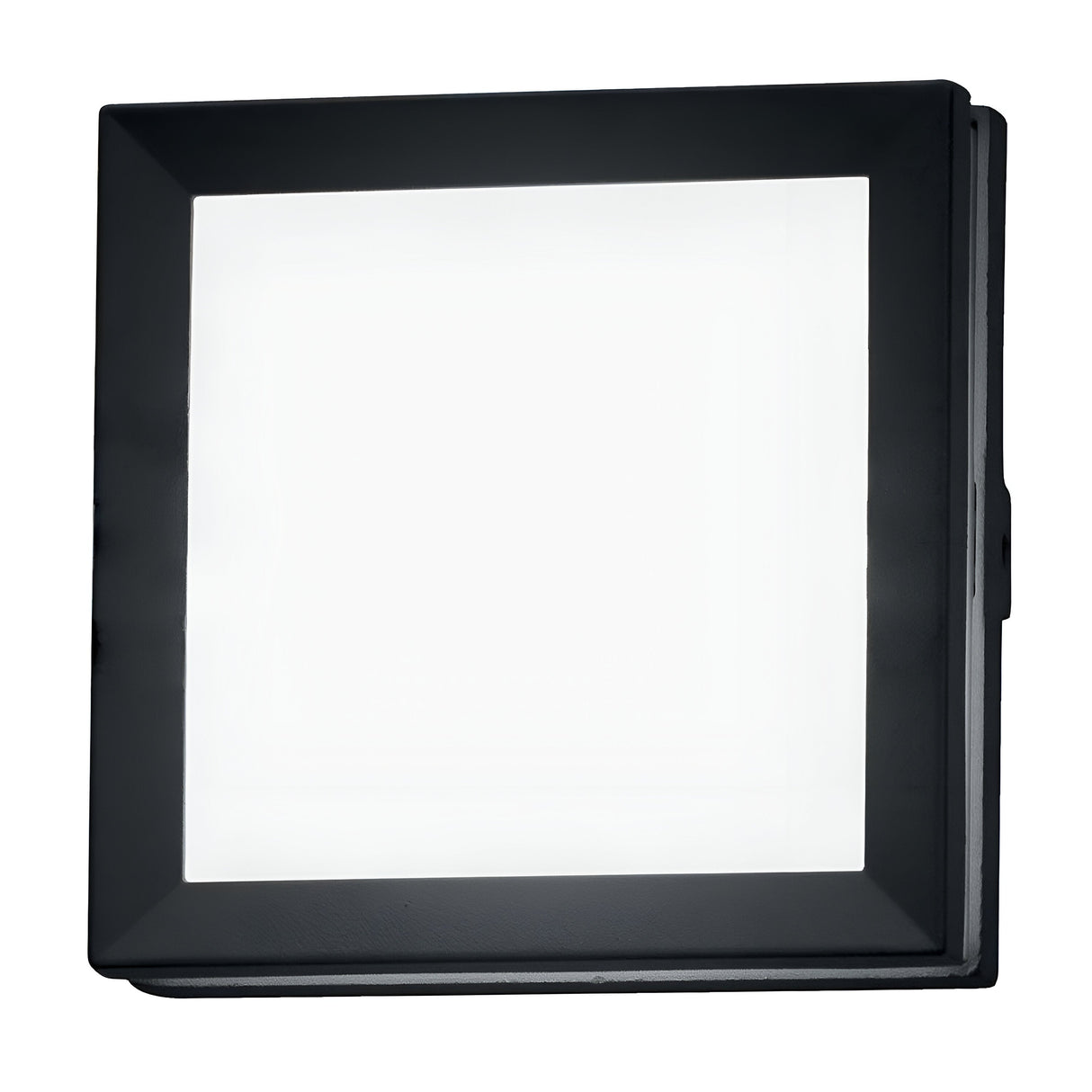 The Egil-1 Outdoor Wall/Ceiling Light in graphite is a square, black-framed LED light with a luminous center. Its minimalist design features a sleek, high-gloss surface that evenly disperses light, and it's shown oriented vertically against a plain white background.