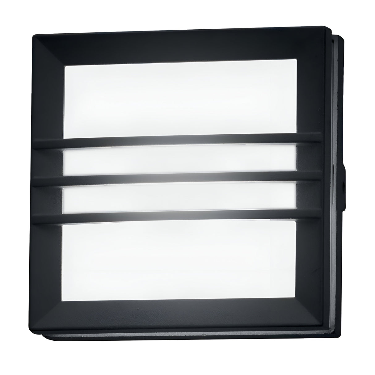 Egil 1 Light Wall/Ceiling Lantern - Graphite