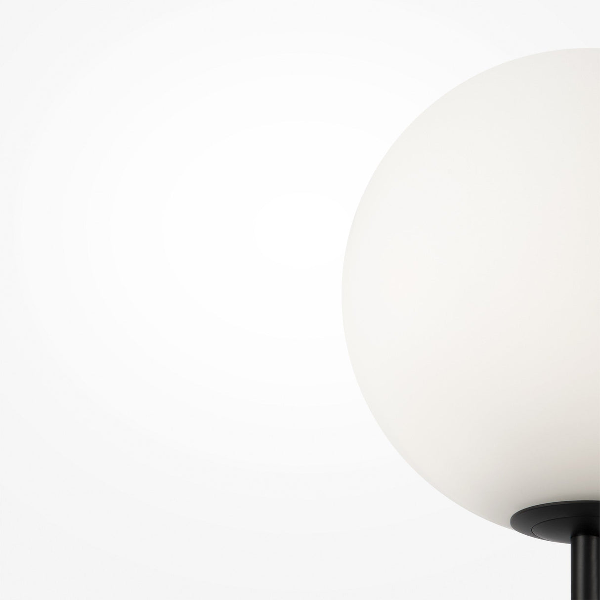 A close-up of the Ring Floor Lamp - Black showcases its minimalist design with a large, round, opaque white lampshade on the right against a plain white background that highlights its sleek and elegant simplicity.