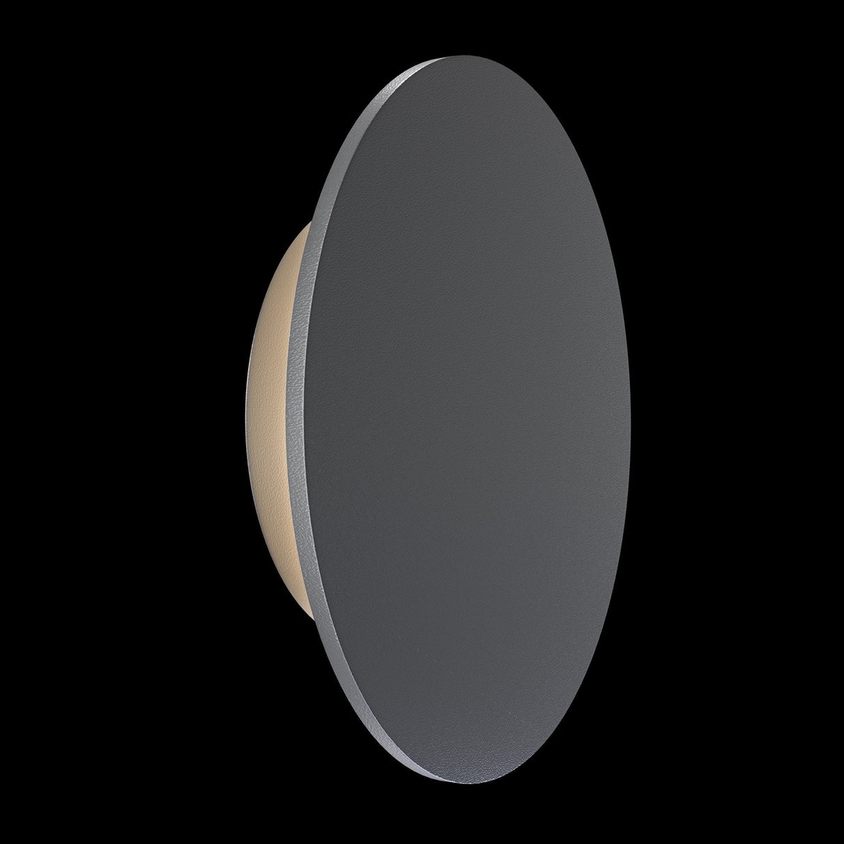 The Wald Outdoor LED Wall Light 12W 3000K - Graphite is a circular disc with a metallic border on a black background. Its sleek, dark gray surface is IP65 rated and corrosion-resistant, ideal for durable outdoor use.