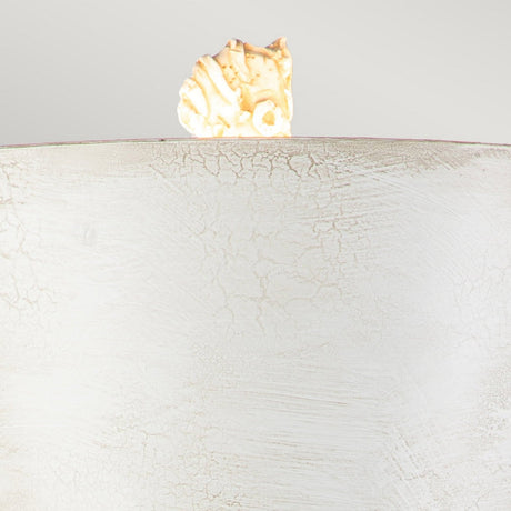 A small, irregularly shaped piece of beige and brown coral rests on the edge of a Petra 1 Light Table Lamp - Bone White's smooth, curved surface against a plain background. The cracked texture of this contemporary design creates a striking contrast with the coral.