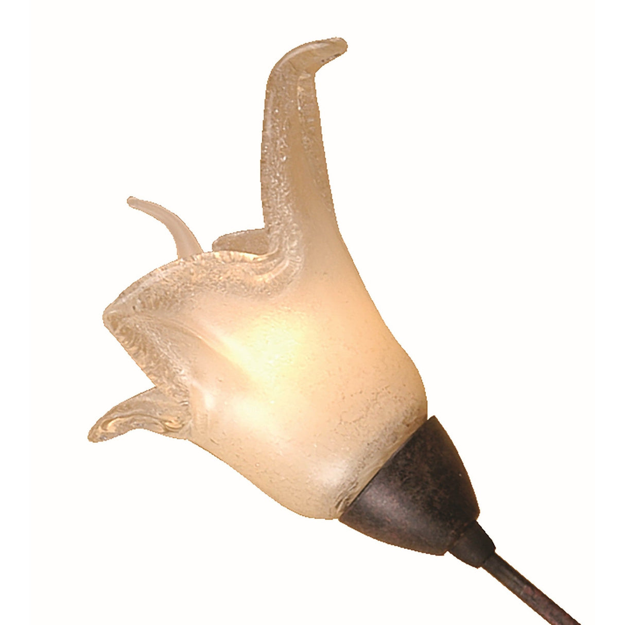 Florida 2 Light Wall Light With Switch - Brown/Black Oxide