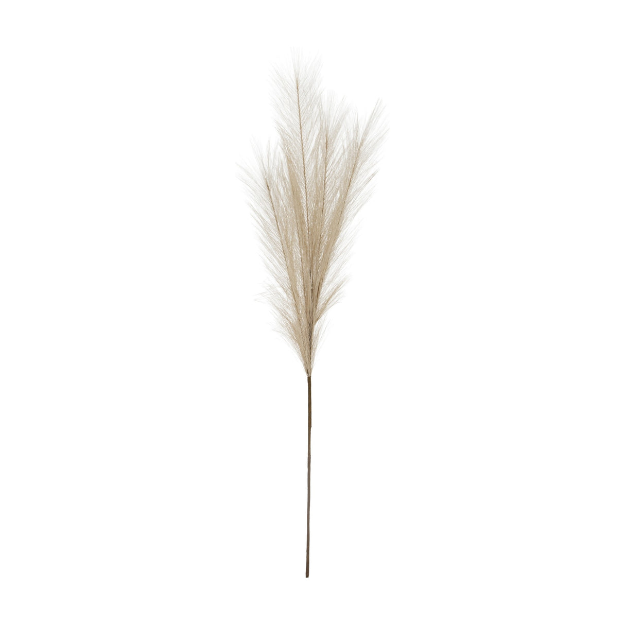 Hill Interiors Bleached Large Faux Pampas Grass Stem with fluffy white plume on a tall slim stem, shown against a plain white background.