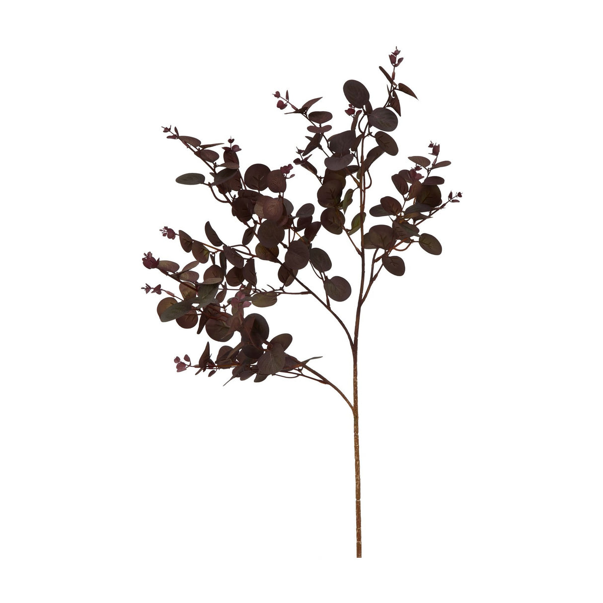 Hill Interiors Burgundy Eucalyptus Bunch, a 75cm faux foliage stem with clusters of small rounded deep red leaves on branching stems, shown on white.