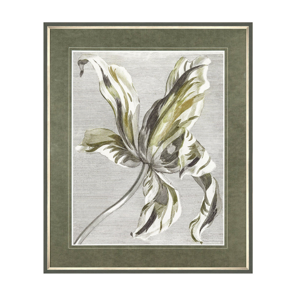 Tulip Bloom Framed Botanical Print – Green