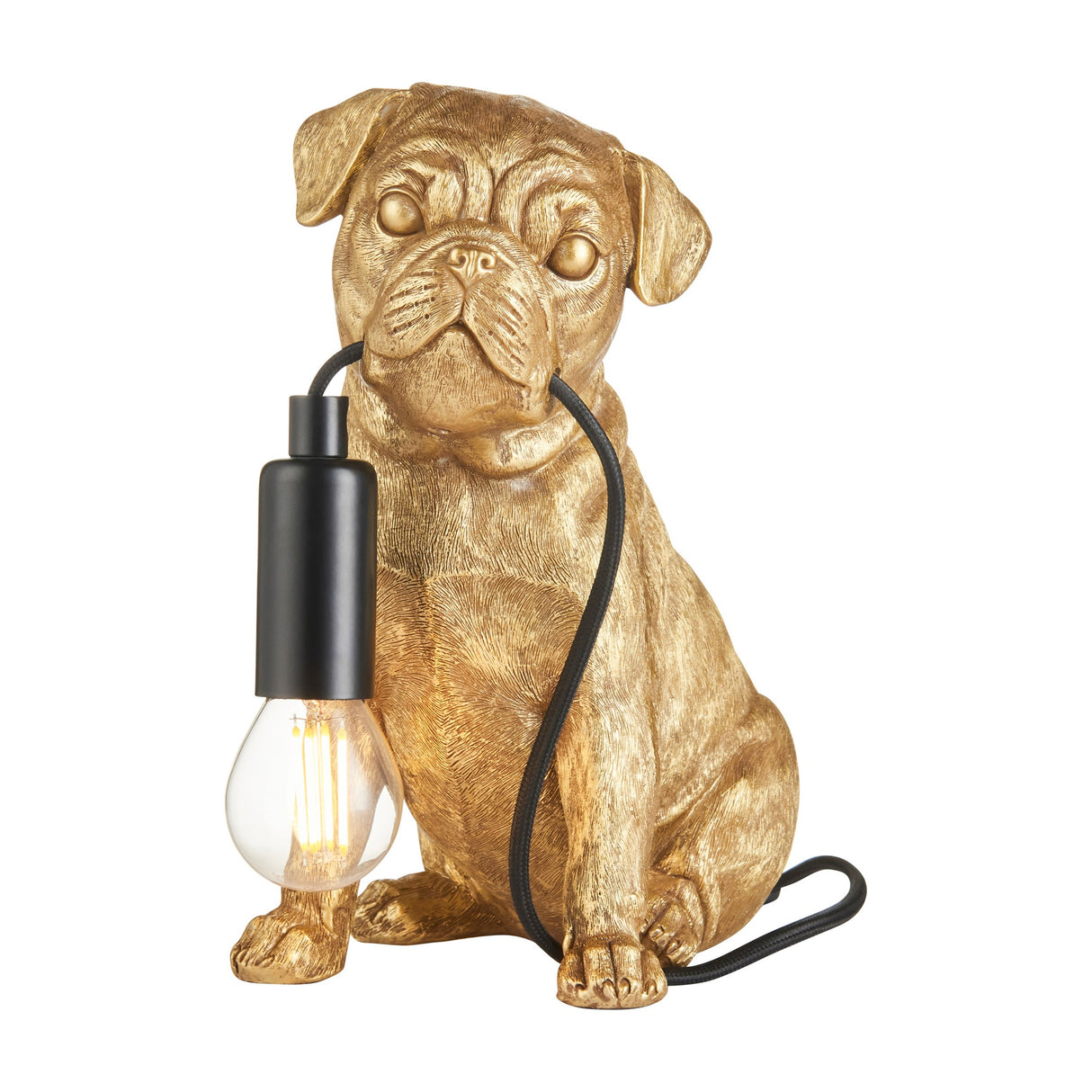 Gallery Direct Pug Puppy Table Lamp in vintage gold resin, seated dog holding a black braided flex with exposed filament bulb, on white.