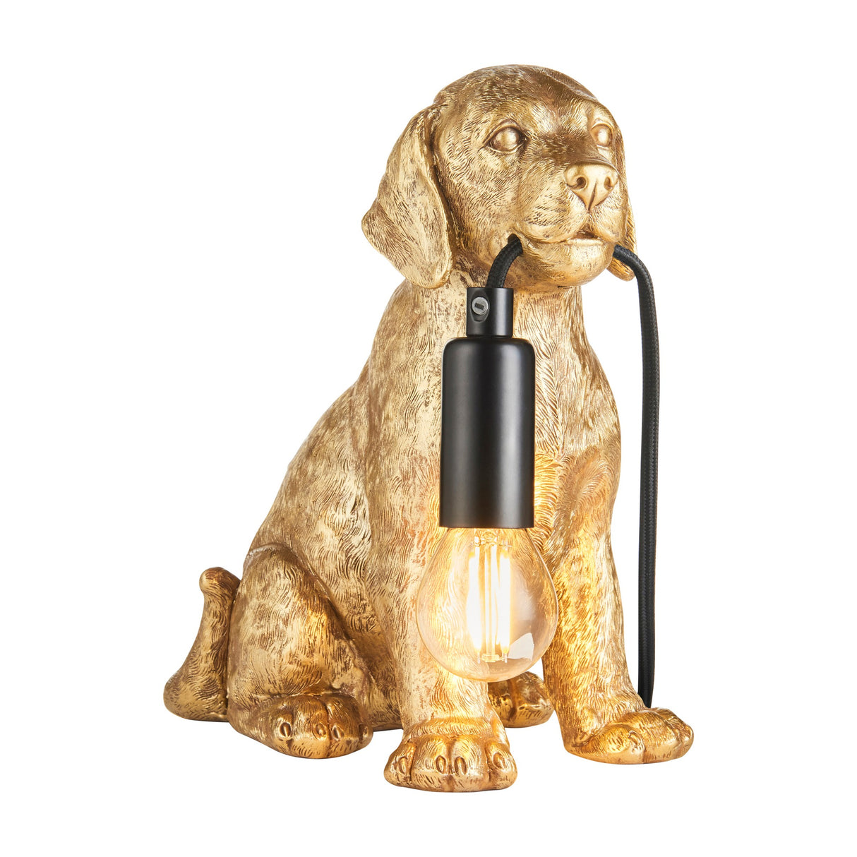 Gallery Direct Labrador Puppy Table Lamp in Vintage Gold, seated resin puppy holding a black braided flex with an exposed E27 filament bulb.